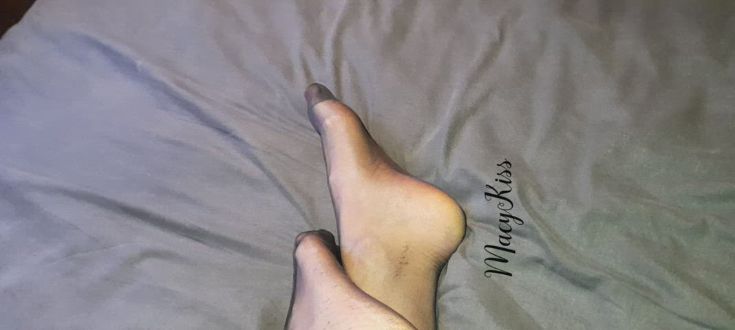 legs nylons pantyhose clip
