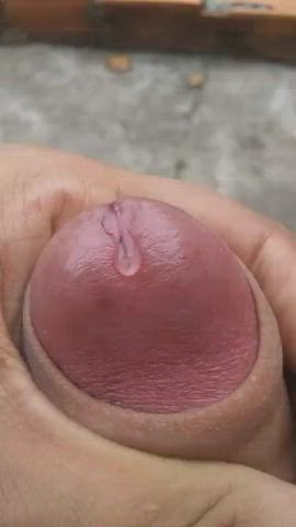 Ass Precum Trans clip