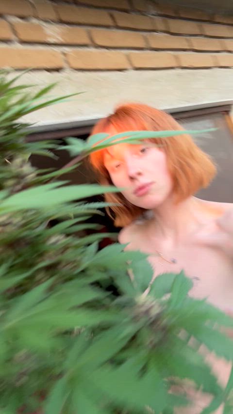 Happy horny healthy and high