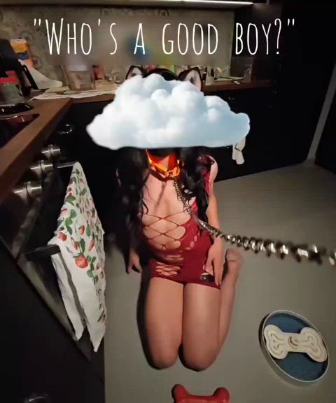did I earn a treat? ๐ถ