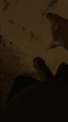 CFNM Little Dick Public clip