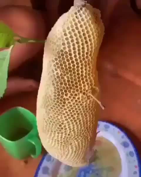 USA clip