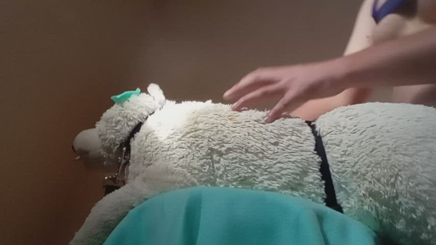 bear sex toy clip