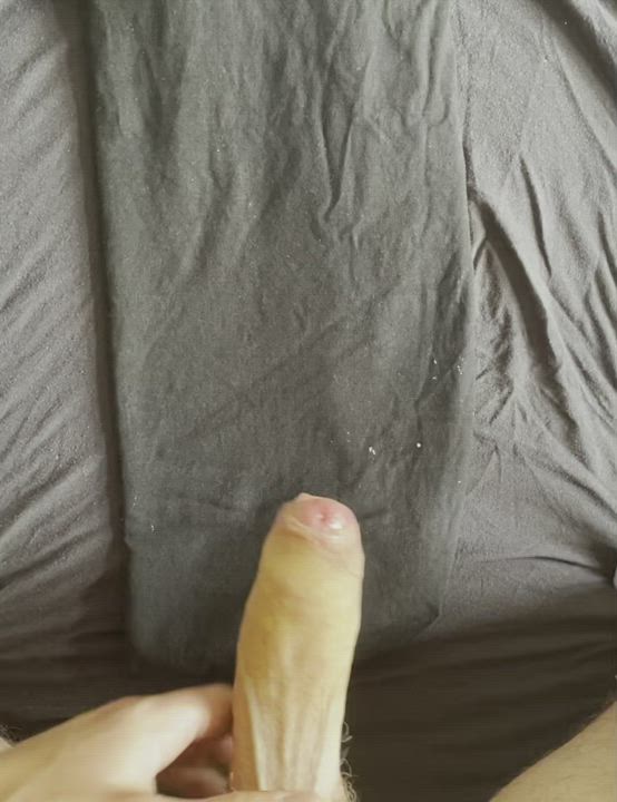 What do yall think? ?