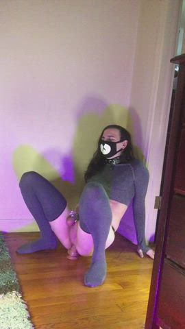 Anal Chastity Sissy clip