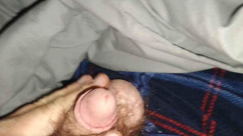 bear chubby small cock clip