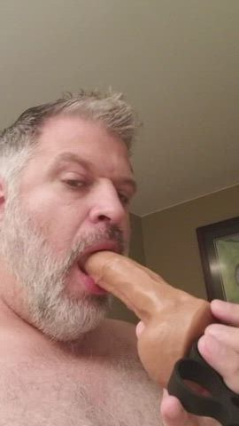 (40s) Hungry bear