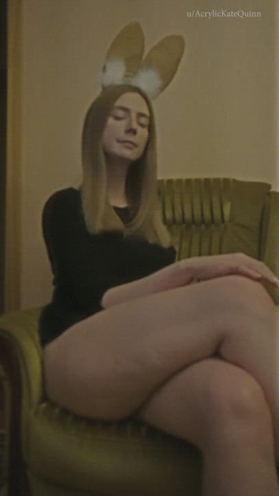 Can I be your bunny?