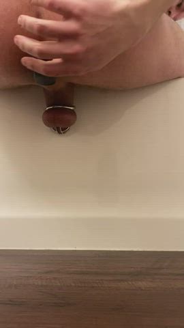 Butt Plug Chastity Femdom clip