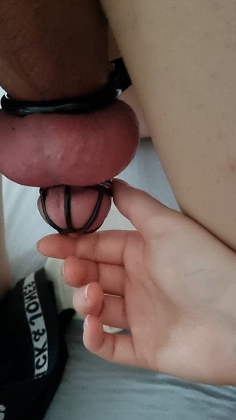 bdsm chastity belt nsfw clip