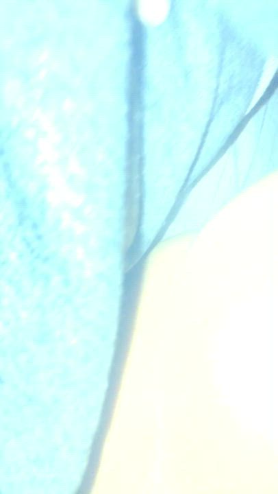 Rate my wife’s little pussy