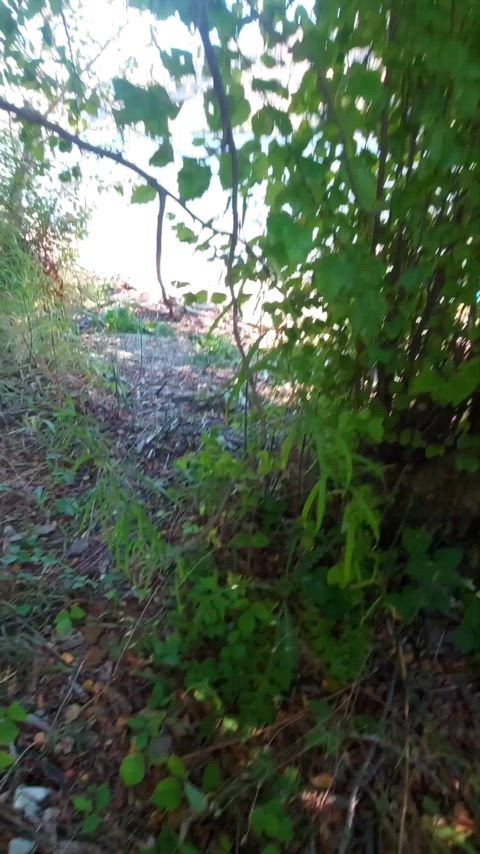 Nothing better than a good fuck in the wood ;)