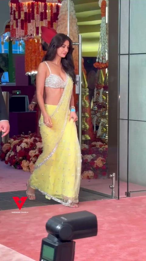 bollywood celebrity indian saree clip