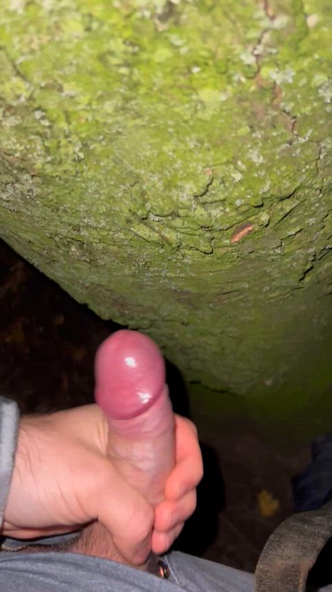 Could say I’ve been mating with that tree 😮💨😮💨