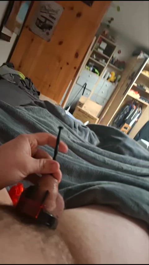 amateur chastity cum homemade piss sounding urethral-sounding clip