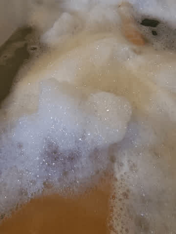 There's a monster lurking in the waters!