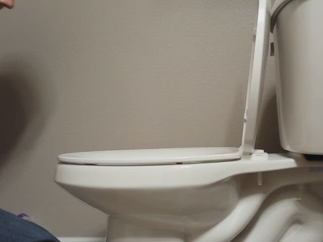 amateur masturbating toilet clip