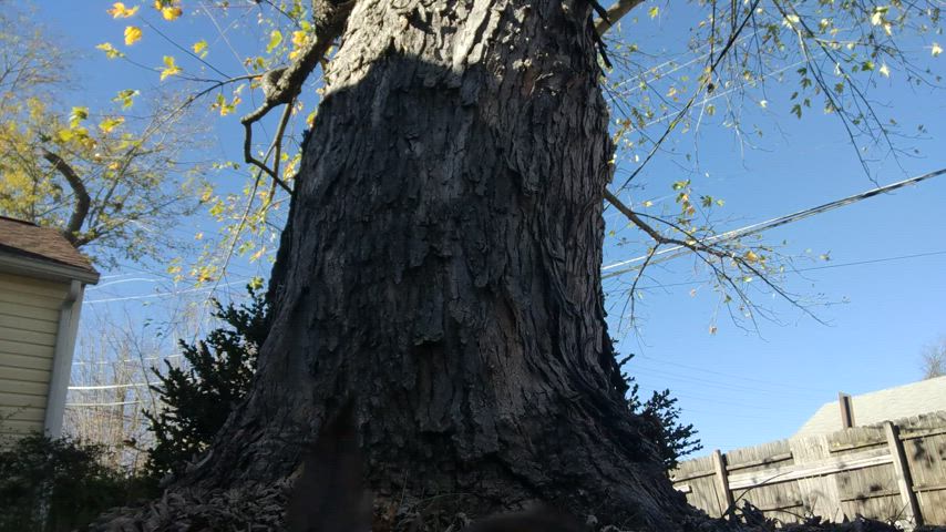 outdoor piss pissing clip