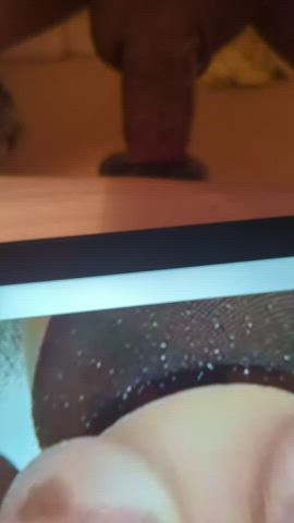 cock tits tribute clip
