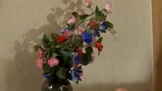 Step Mom Makiko Can't Resist Me!! Forbidden Asian SEX