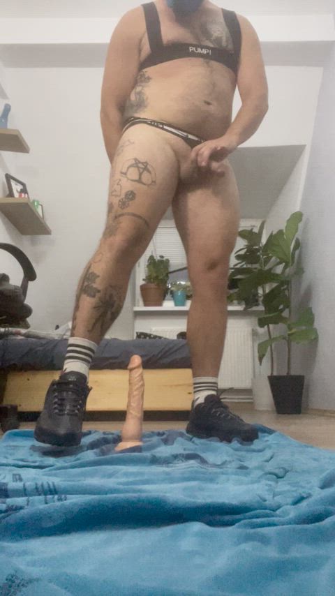 anal play ass asshole dildo hardcore humiliation master/slave puppy slave solo clip